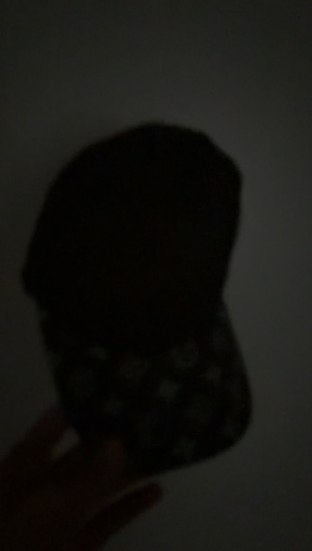LUXURY STREETWEAR HAT